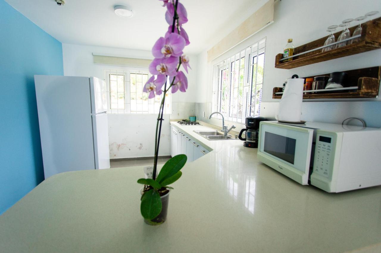 Westpunt Beach Apartments Βίλλεμσταντ Εξωτερικό φωτογραφία